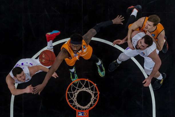 这些宝贵的 这些宝贵的