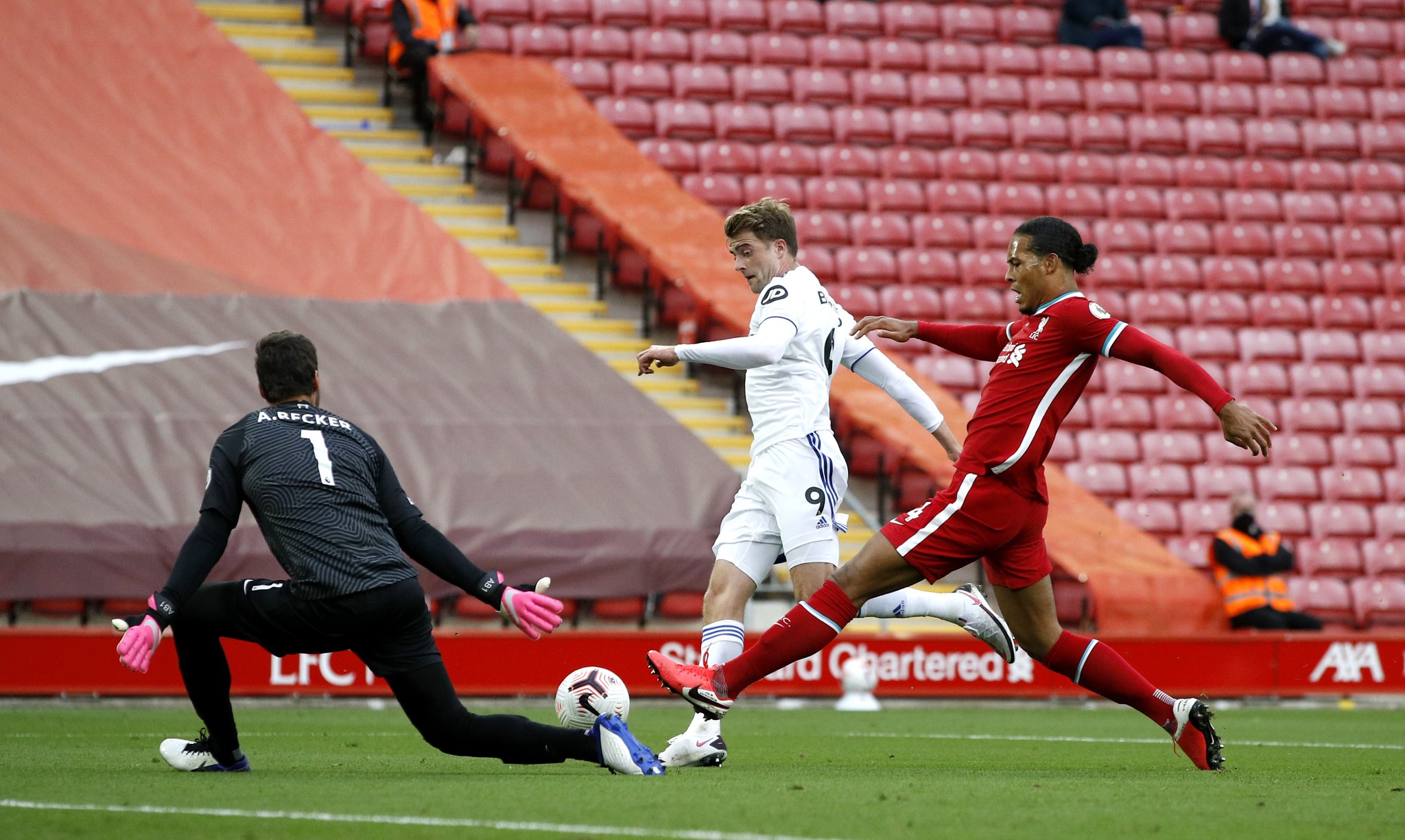 疑似属于世 疑似属于世